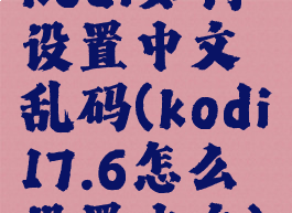 kodi如何设置中文乱码(kodi17.6怎么设置中文)