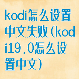 kodi怎么设置中文失败(kodi19.0怎么设置中文)