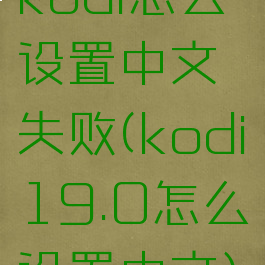 kodi怎么设置中文失败(kodi19.0怎么设置中文)