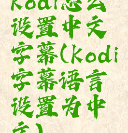kodi怎么设置中文字幕(kodi字幕语言设置为中文)
