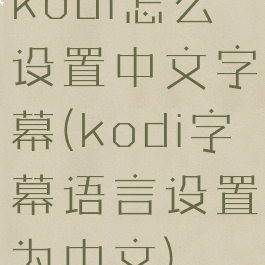 kodi怎么设置中文字幕(kodi字幕语言设置为中文)