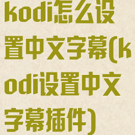 kodi怎么设置中文字幕(kodi设置中文字幕插件)