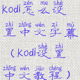 kodi怎么设置中文字幕(kodi设置中文教程)