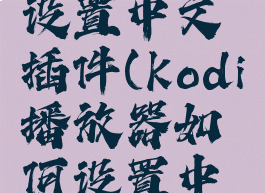 kodi怎么设置中文插件(kodi播放器如何设置中文)