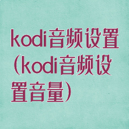 kodi音频设置(kodi音频设置音量)