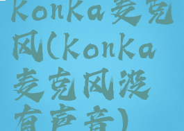 konka麦克风(konka麦克风没有声音)