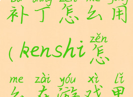 kenshi汉化补丁怎么用(kenshi怎么在游戏里打中文)