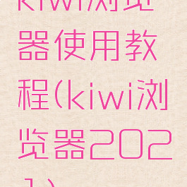 kiwi浏览器使用教程(kiwi浏览器2021)