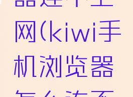 kiwi浏览器连不上网(kiwi手机浏览器怎么连不上网)