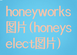 honeyworks图片(honeyselect图片)