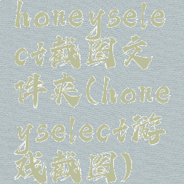 honeyselect截图文件夹(honeyselect游戏截图)