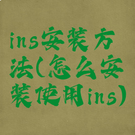 ins安装方法(怎么安装使用ins)
