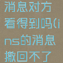 ins撤回的消息对方看得到吗(ins的消息撤回不了怎么回事)