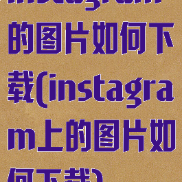 instagram的图片如何下载(instagram上的图片如何下载)