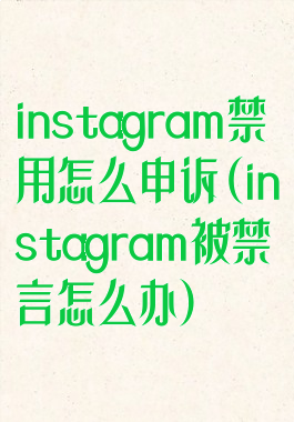 instagram禁用怎么申诉(instagram被禁言怎么办)