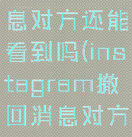 instagram撤回的消息对方还能看到吗(instagram撤回消息对方会有提示吗)