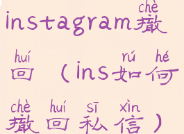 instagram撤回(ins如何撤回私信)