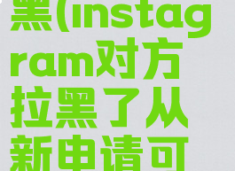 instagram被对方拉黑(instagram对方拉黑了从新申请可以关注她吗)