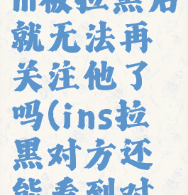 instagram被拉黑后就无法再关注他了吗(ins拉黑对方还能看到对方主页吗)