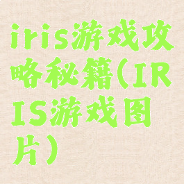 iris游戏攻略秘籍(IRIS游戏图片)