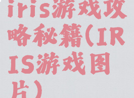 iris游戏攻略秘籍(IRIS游戏图片)