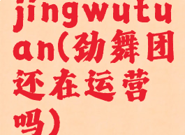 jingwutuan(劲舞团还在运营吗)