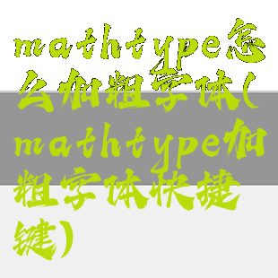 mathtype怎么加粗字体(mathtype加粗字体快捷键)