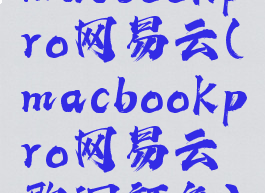 macbookpro网易云(macbookpro网易云歌词颜色)