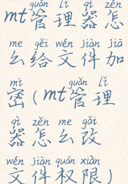 mt管理器怎么给文件加密(mt管理器怎么改文件权限)