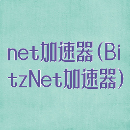net加速器(BitzNet加速器)