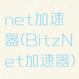 net加速器(BitzNet加速器)