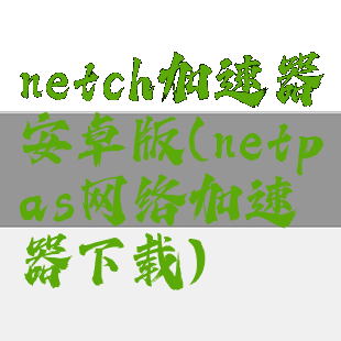 netch加速器安卓版(netpas网络加速器下载)