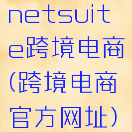 netsuite跨境电商(跨境电商官方网址)