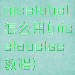 nicelabel怎么用(nicelabelse教程)