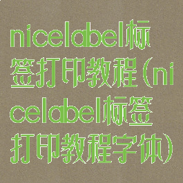 nicelabel标签打印教程(nicelabel标签打印教程字体)