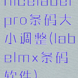 nicelabelpro条码大小调整(labelmx条码软件)