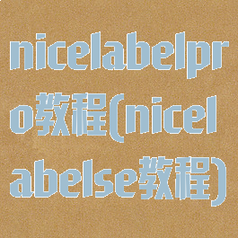 nicelabelpro教程(nicelabelse教程)