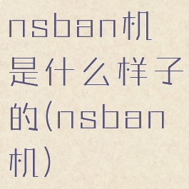 nsban机是什么样子的(nsban机)