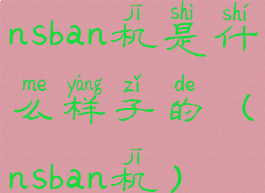 nsban机是什么样子的(nsban机)