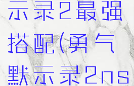 ns勇气默示录2最强搭配(勇气默示录2ns测评)