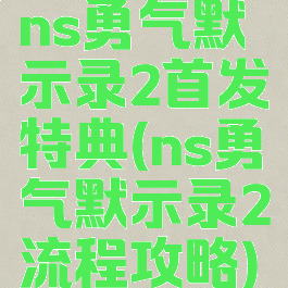 ns勇气默示录2首发特典(ns勇气默示录2流程攻略)