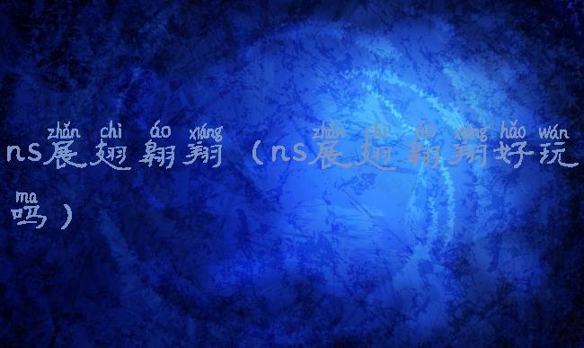 ns展翅翱翔(ns展翅翱翔好玩吗)