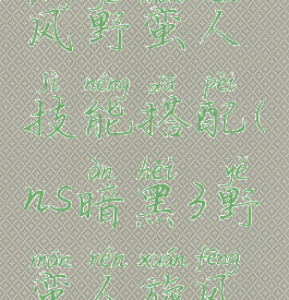 ns暗黑3旋风野蛮人技能搭配(ns暗黑3野蛮人旋风装备详解)