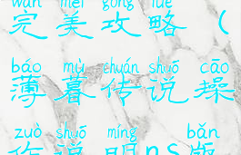 ns薄暮传说完美攻略(薄暮传说操作说明ns版)