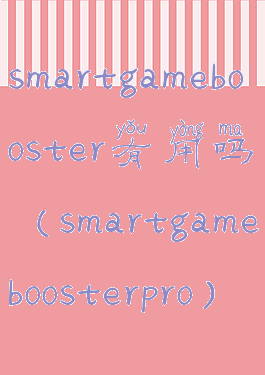 smartgamebooster有用吗(smartgameboosterpro)