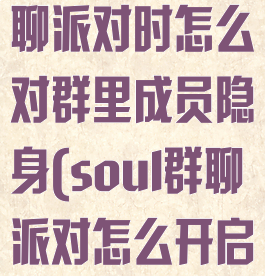 soul加入群聊派对时怎么对群里成员隐身(soul群聊派对怎么开启)
