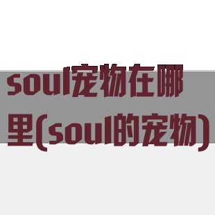 soul宠物在哪里(soul的宠物)