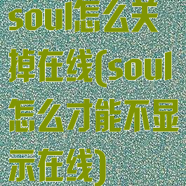 soul怎么关掉在线(soul怎么才能不显示在线)