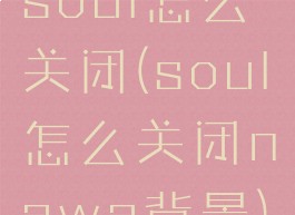 soul怎么关闭(soul怎么关闭nawa背景)