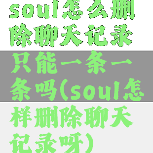soul怎么删除聊天记录只能一条一条吗(soul怎样删除聊天记录呀)